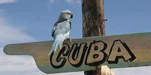 10 речей, які потрібно зробити на Кубі